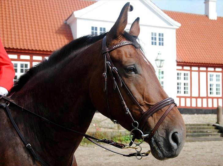 Hagenskov Godsjagt 2010 billede 82