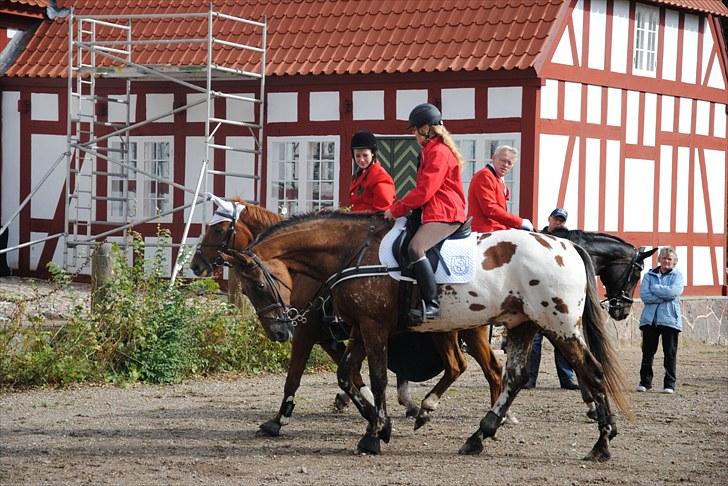Hagenskov Godsjagt 2010 billede 83