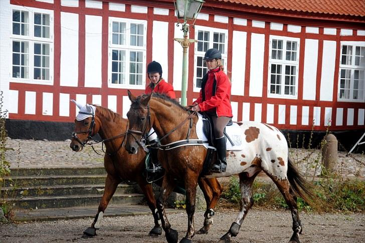 Hagenskov Godsjagt 2010 billede 85