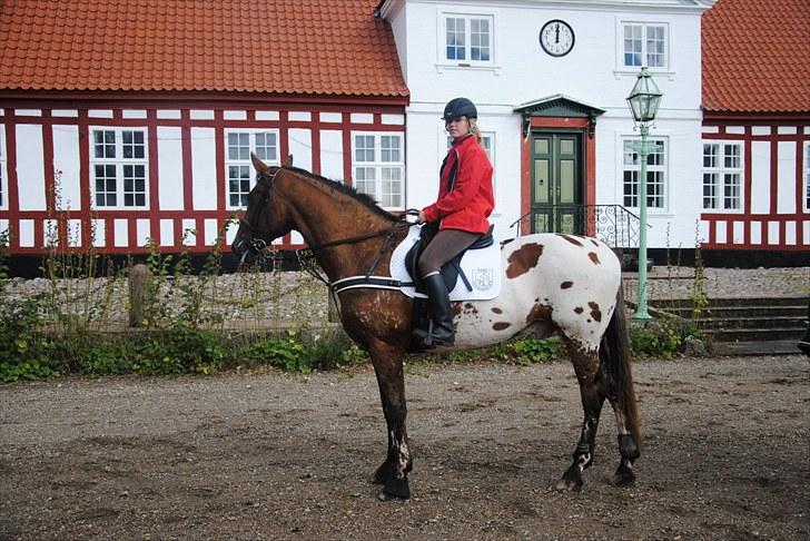 Hagenskov Godsjagt 2010 billede 88