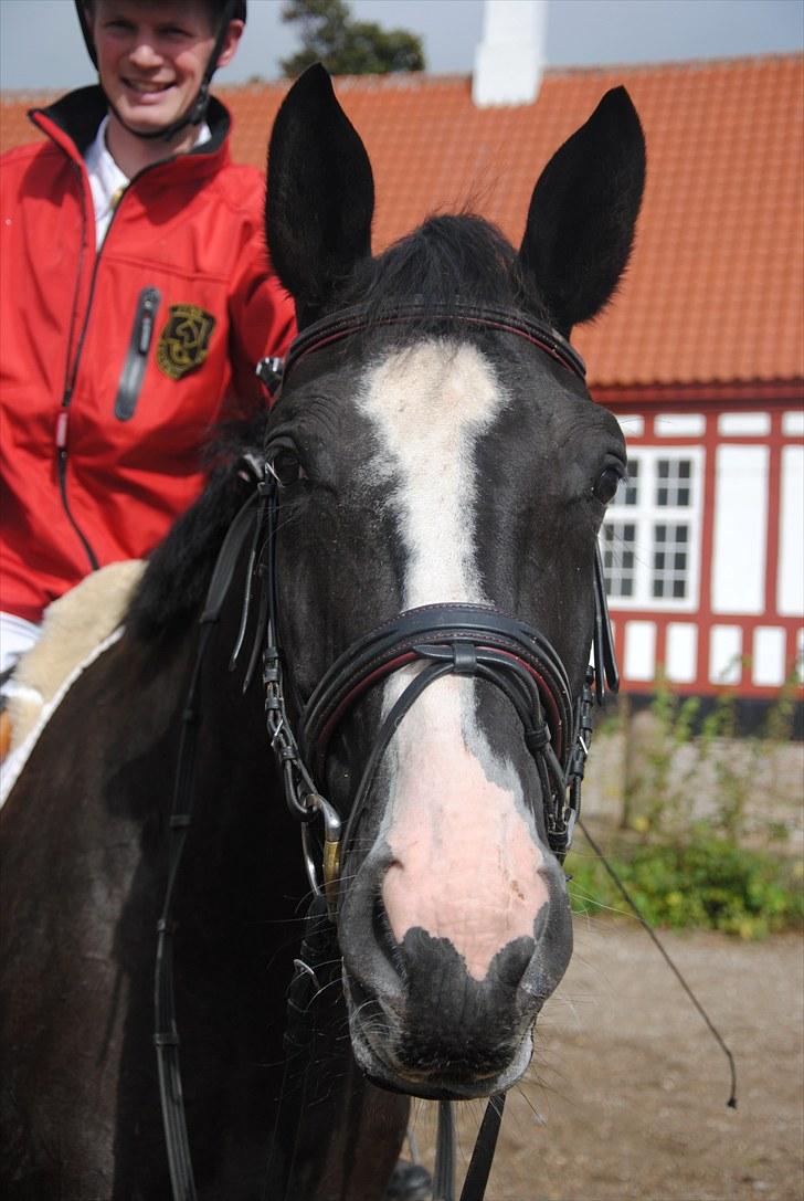 Hagenskov Godsjagt 2010 billede 91