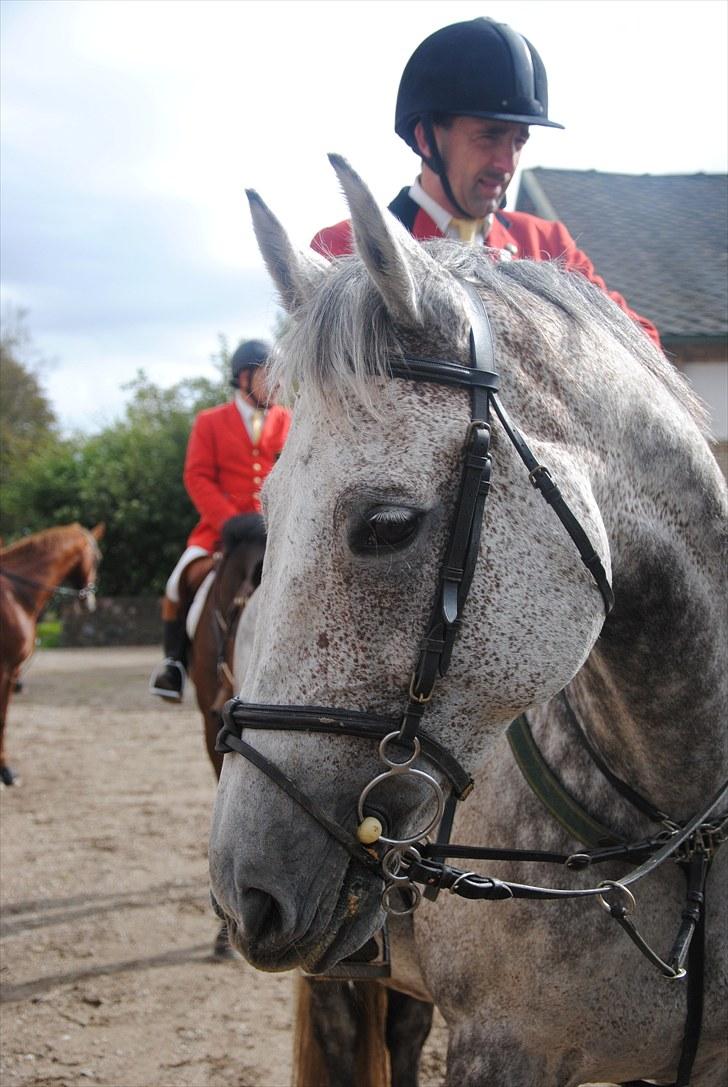 Hagenskov Godsjagt 2010 billede 93
