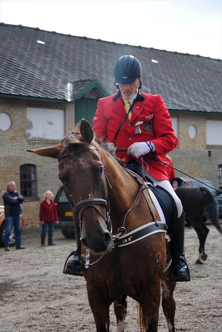 Hagenskov Godsjagt 2010 billede 94