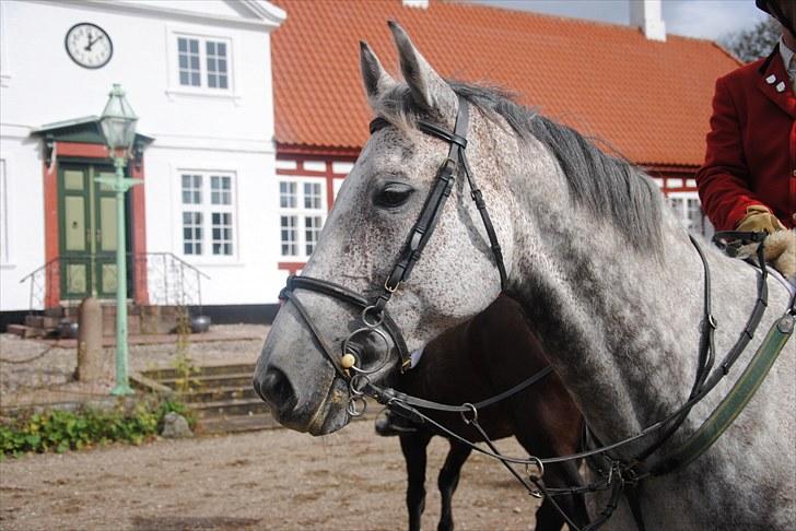 Hagenskov Godsjagt 2010 billede 95