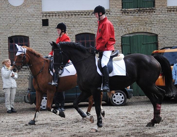 Hagenskov Godsjagt 2010 billede 96