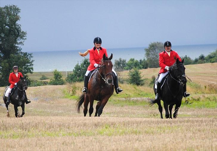 Hagenskov Godsjagt 2010 billede 99