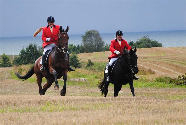 Hagenskov Godsjagt 2010 billede 100