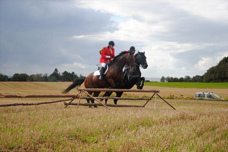 Hagenskov Godsjagt 2010 billede 101