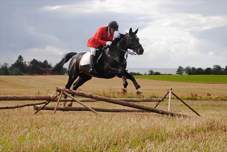 Hagenskov Godsjagt 2010 billede 102