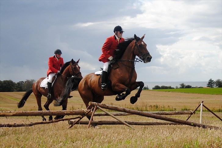 Hagenskov Godsjagt 2010 billede 103