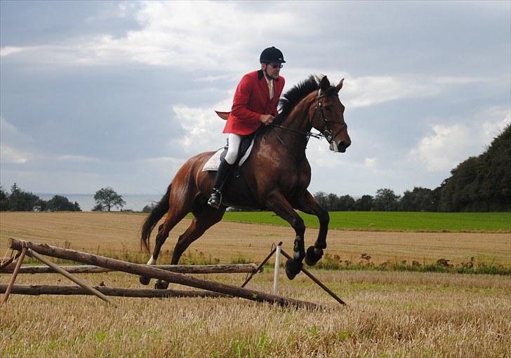 Hagenskov Godsjagt 2010 billede 104