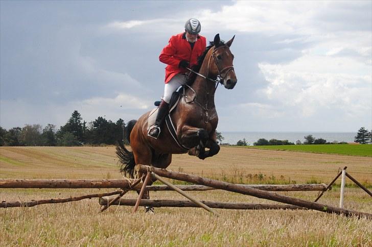 Hagenskov Godsjagt 2010 billede 105