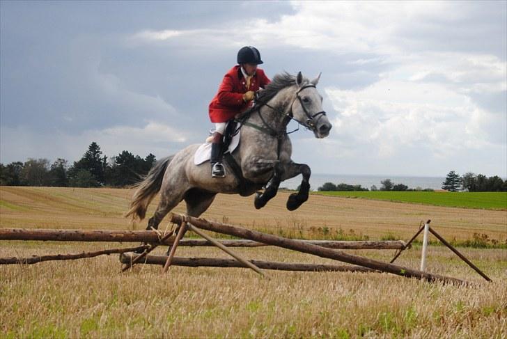 Hagenskov Godsjagt 2010 billede 106