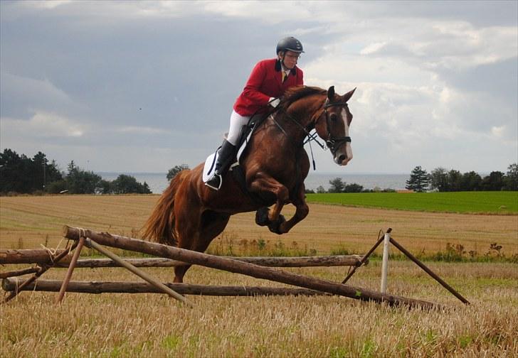 Hagenskov Godsjagt 2010 billede 108