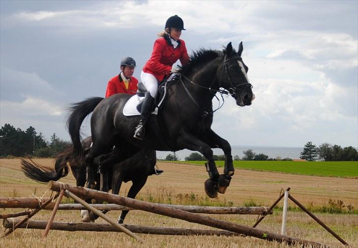 Hagenskov Godsjagt 2010 billede 109