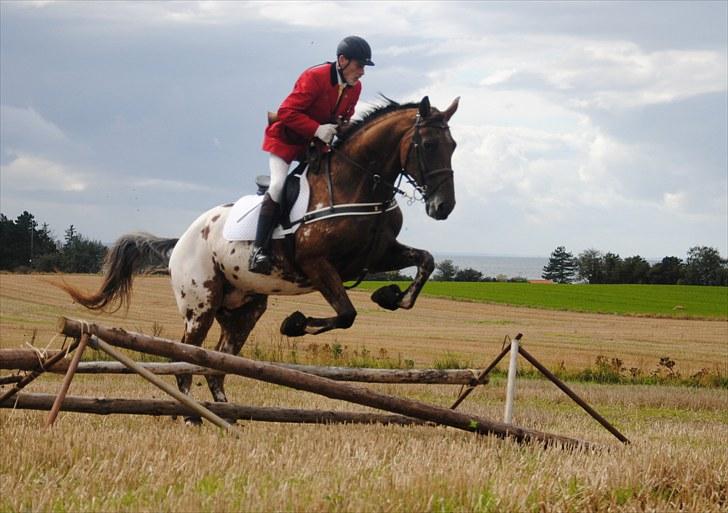 Hagenskov Godsjagt 2010 billede 110