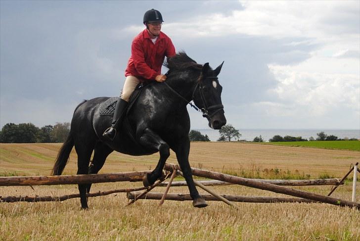 Hagenskov Godsjagt 2010 billede 111