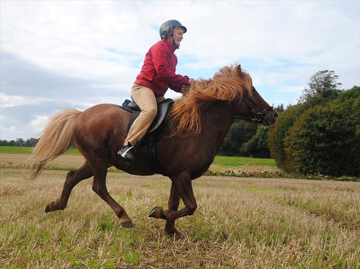 Hagenskov Godsjagt 2010 billede 112