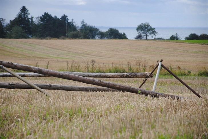 Hagenskov Godsjagt 2010 billede 113