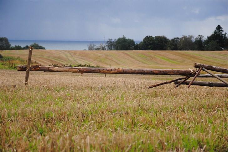 Hagenskov Godsjagt 2010 billede 114
