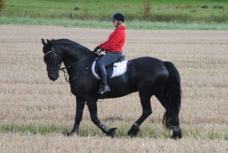 Hagenskov Godsjagt 2010 billede 115