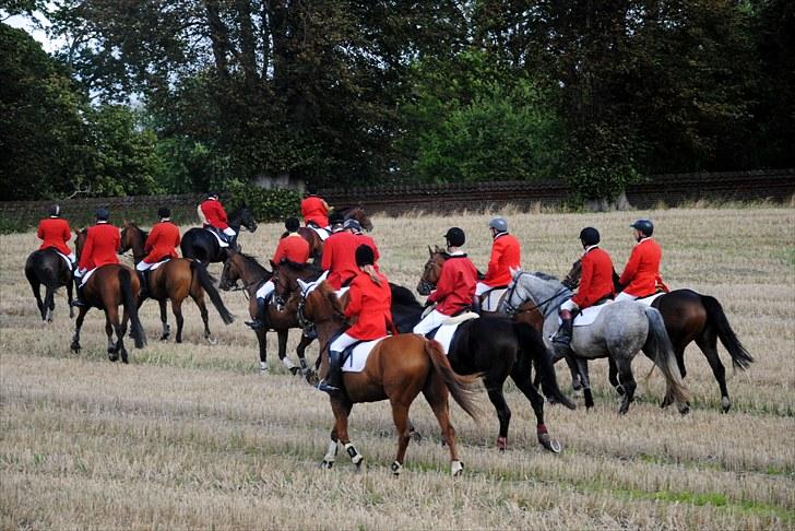 Hagenskov Godsjagt 2010 billede 116