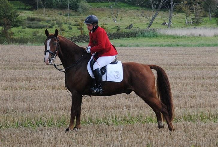 Hagenskov Godsjagt 2010 billede 117