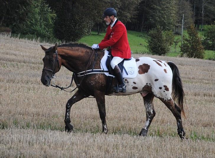 Hagenskov Godsjagt 2010 billede 118