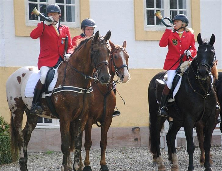 Hagenskov Godsjagt 2010 billede 121