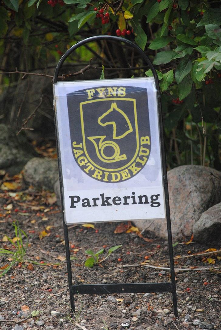 Hagenskov Godsjagt 2010 billede 130