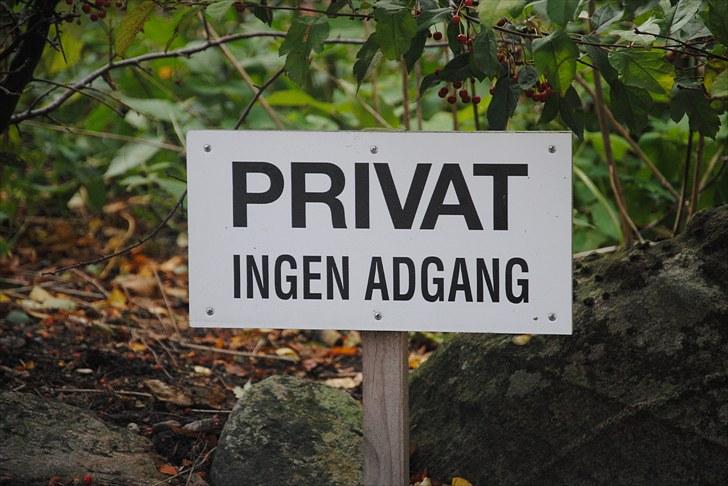 Hagenskov Godsjagt 2010 billede 131