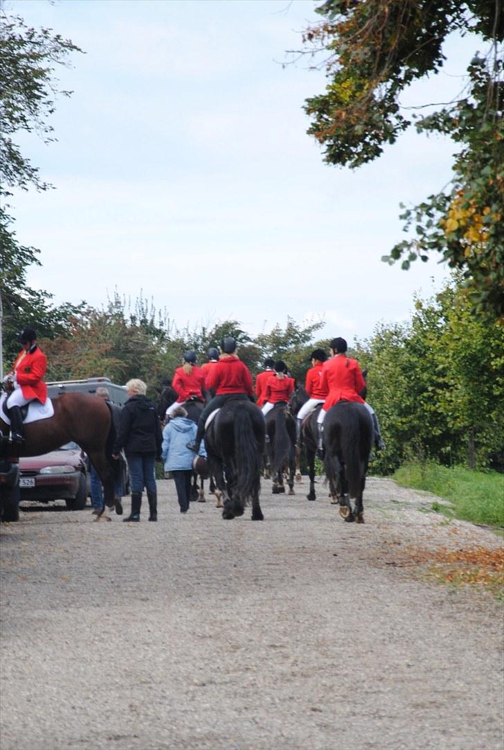Hagenskov Godsjagt 2010 billede 132