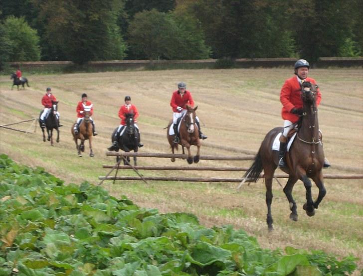 Jagt i Tommerup  + tærren billeder - Jagt ved Hagenskov gods
taget med mit kamera der synger på det sidste, derfor de slørede billeder billede 28