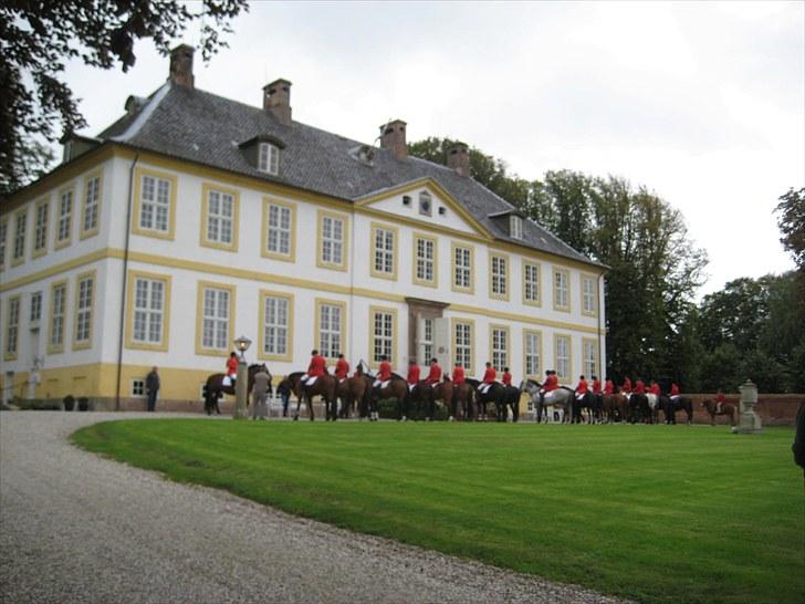 Jagt i Tommerup  + tærren billeder - Jagt ved Hagenskov gods
taget med mit kamera der synger på det sidste, derfor de slørede billeder billede 29