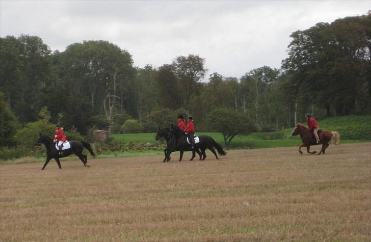 Jagt i Tommerup  + tærren billeder - Jagt ved Hagenskov gods
taget med mit kamera der synger på det sidste, derfor de slørede billeder
 billede 30