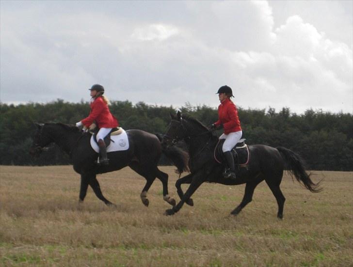 Jagt i Tommerup  + tærren billeder - Jagt ved Hagenskov gods
taget med mit kamera der synger på det sidste, derfor de slørede billeder billede 31
