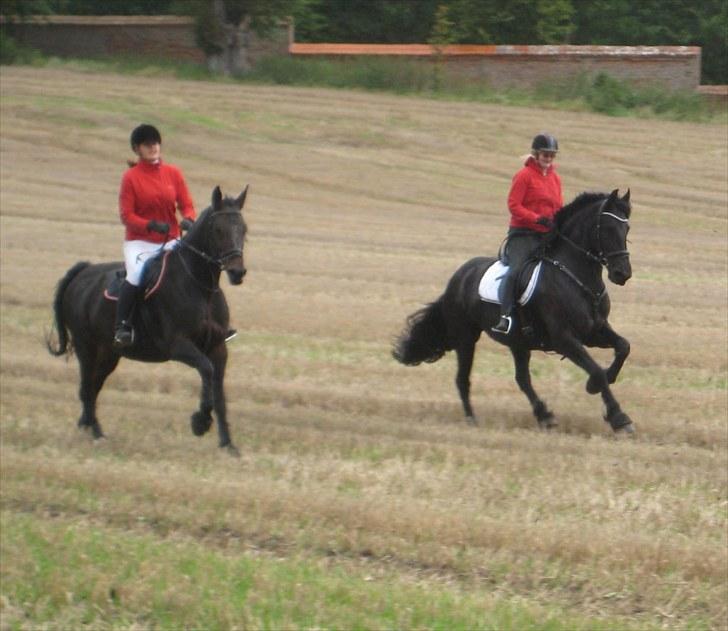 Jagt i Tommerup  + tærren billeder - Jagt ved Hagenskov gods
taget med mit kamera der synger på det sidste, derfor de slørede billeder billede 32