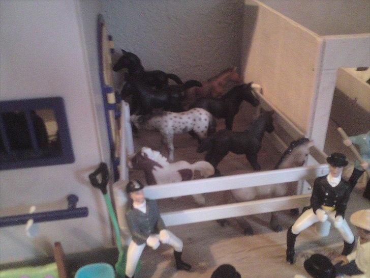 Stutteri Damgaarden. Facaliteter. Schleich - Lille følstald. billede 11