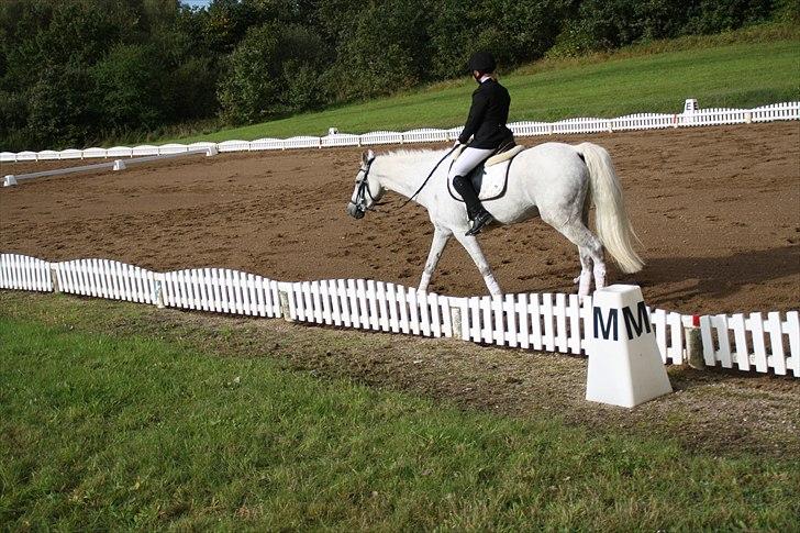 Stævne på Odsherred rideklub billede 9