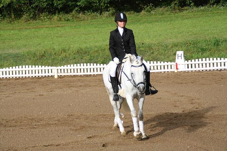 Stævne på Odsherred rideklub billede 10