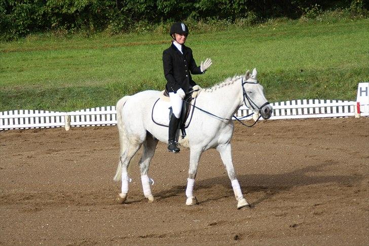 Stævne på Odsherred rideklub - Øhhm? lisa hvorfor vinker jeg?? billede 11