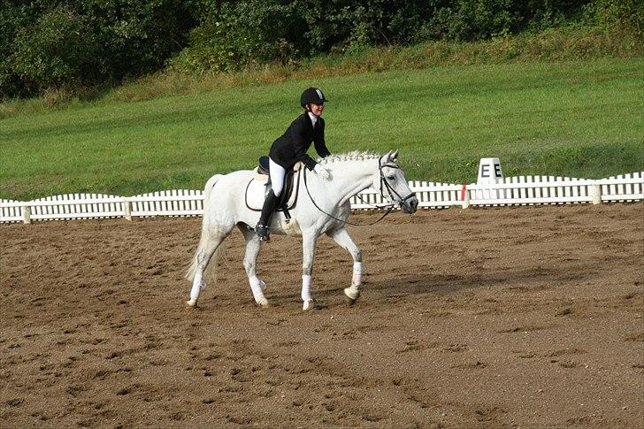 Stævne på Odsherred rideklub billede 12