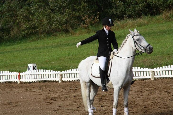 Stævne på Odsherred rideklub billede 13