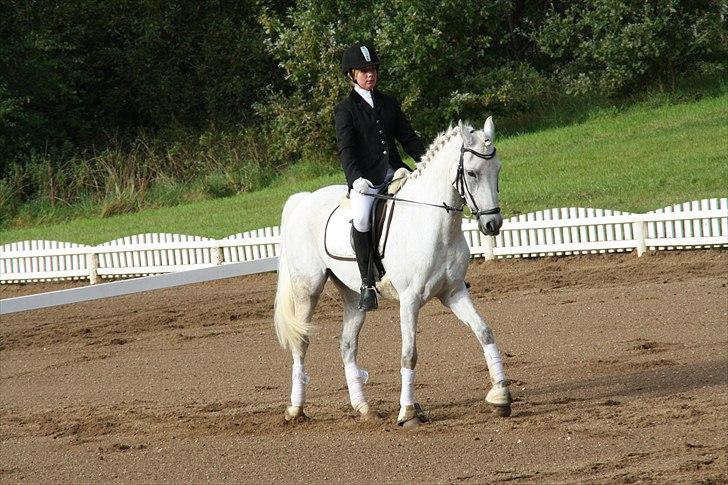 Stævne på Odsherred rideklub billede 14