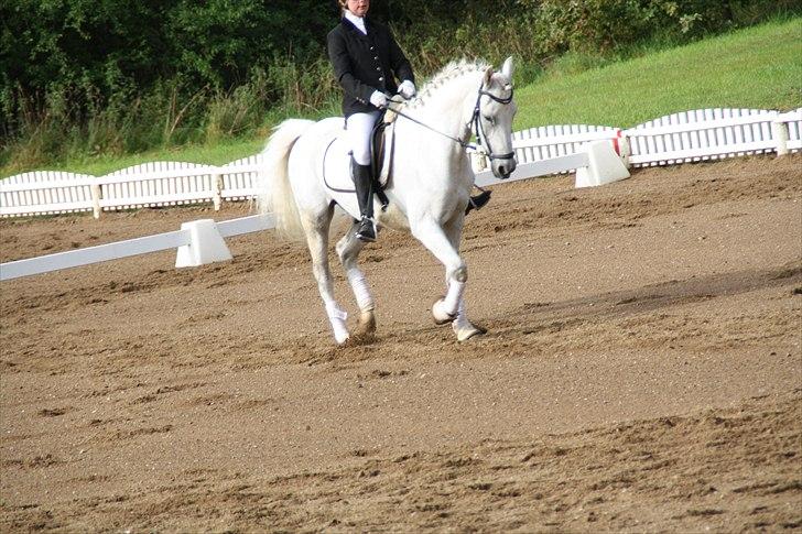 Stævne på Odsherred rideklub billede 15