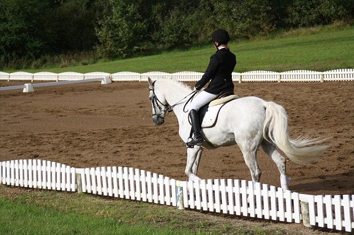 Stævne på Odsherred rideklub billede 16