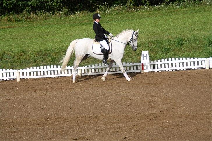 Stævne på Odsherred rideklub billede 17