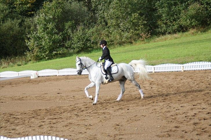 Stævne på Odsherred rideklub - Nemlig Louie!! billede 18
