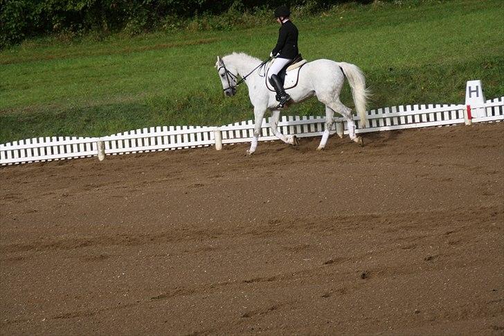 Stævne på Odsherred rideklub billede 19