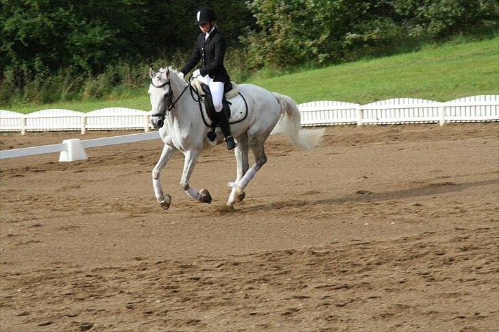 Stævne på Odsherred rideklub - Ynglings billede!!<33 billede 20